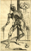 Thomas Geminus: flayed man, from his edition of Vesalius, 1545